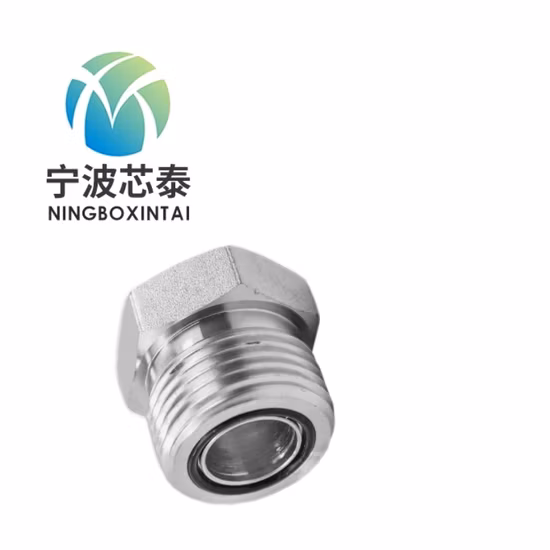 Adaptateur de tube adaptateur hydraulique haute pression America Orfs Male 0-Ring/SAE 0-Ring Boss S-Series ISO 11926-2 -1fo